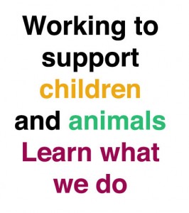 see what we do