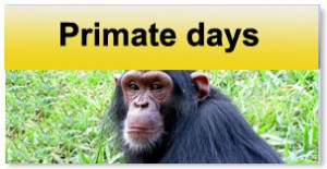 click to see more about primate days