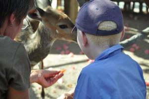 child with baby bush deer