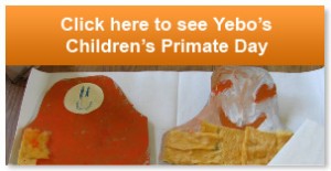 childrens primate day childrens primate day