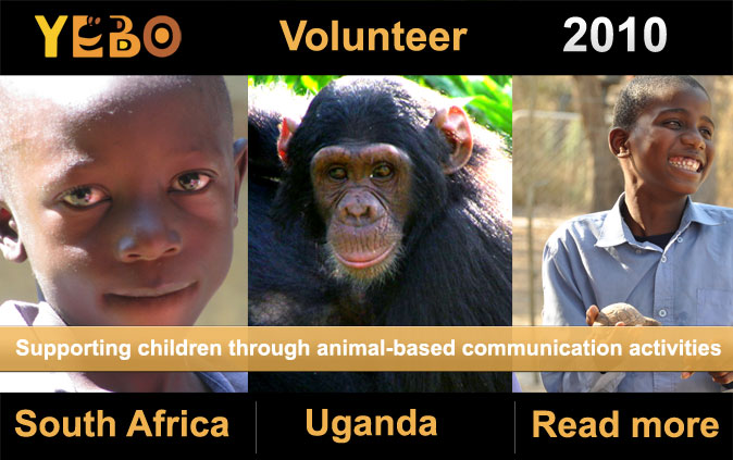 volunteer projects in Africa and the UK