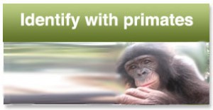 Identify with primates Identify with primates