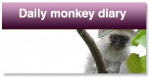 followthe monkey diary followthe monkey diary