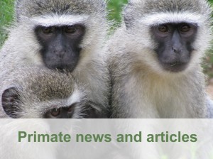 See the latest primate news See the latest primate news