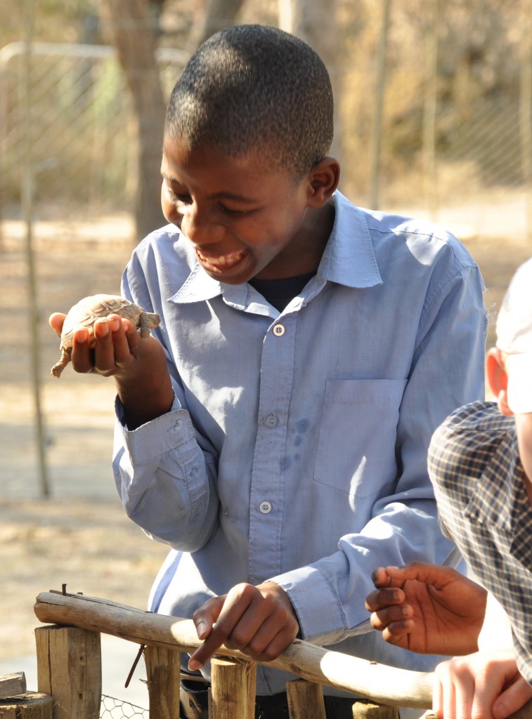 Taking children to a wildlife sanctuary in South Africa