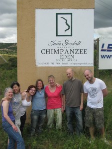 Yebo volunteers visit Chimpanzee Eden
