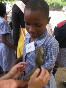 Judith meets a squirrel for the first time