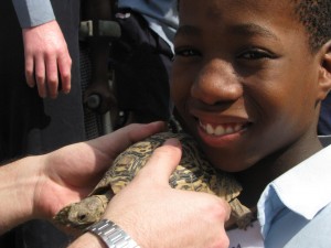 Using the senses to touch a tortoise