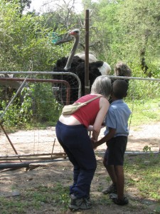 Working with volunteer, Sue, to help learn about the animals