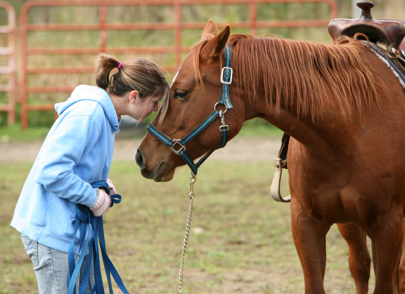 Sharing friendship with a horse