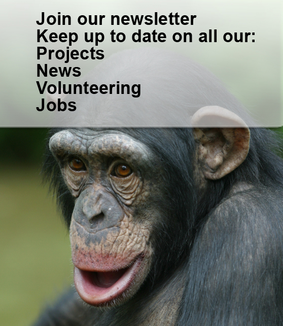 join our newsletter!