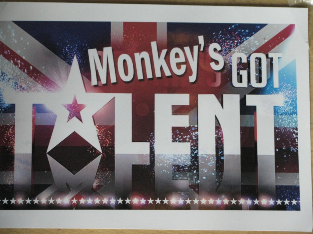 Monkeys got talent