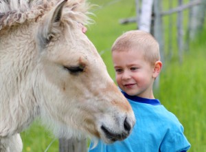 Pony and child