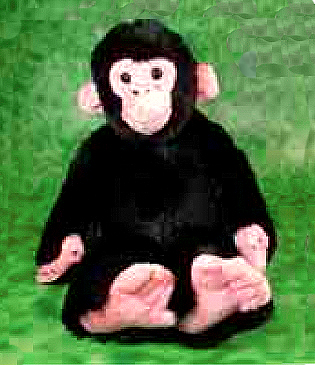 chimpsittingbean
