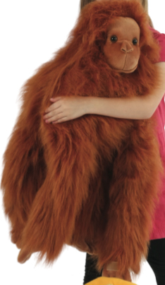 orang_fullbodied orang_fullbodied